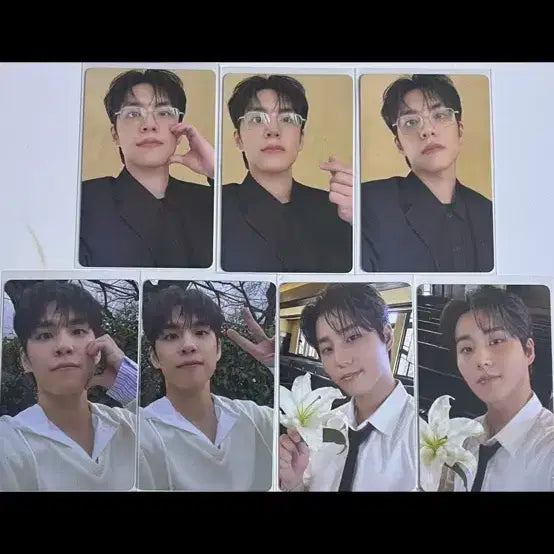 데이식스 포카 원필 성진 도운 영케이 81개 일괄양도