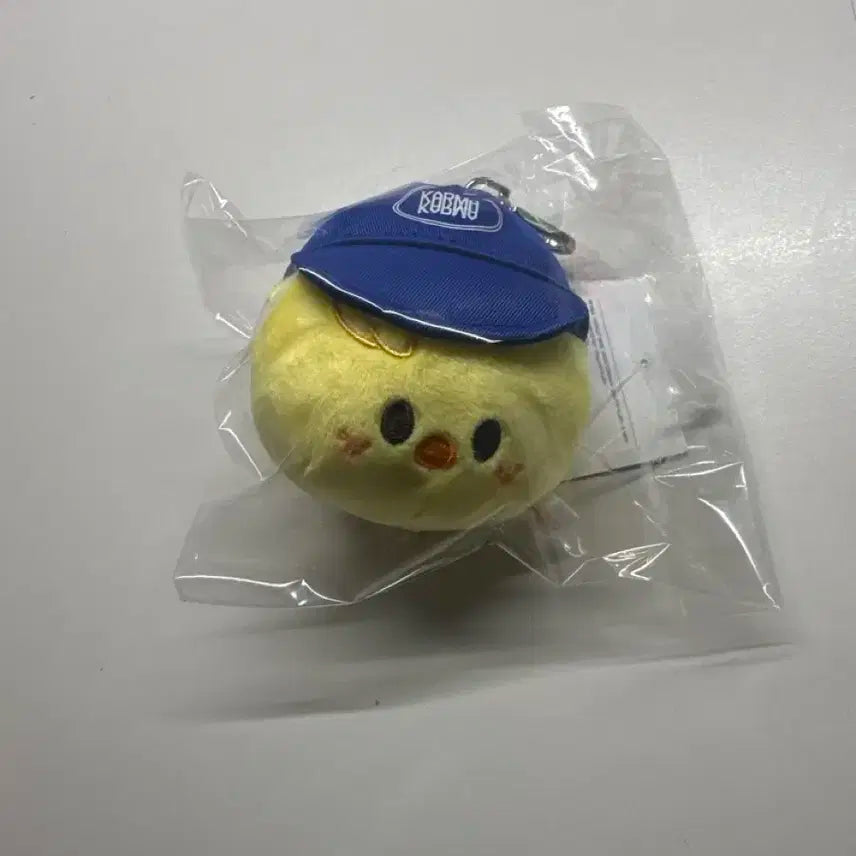 키르마 뽁아리 키링 스키즈 스키주