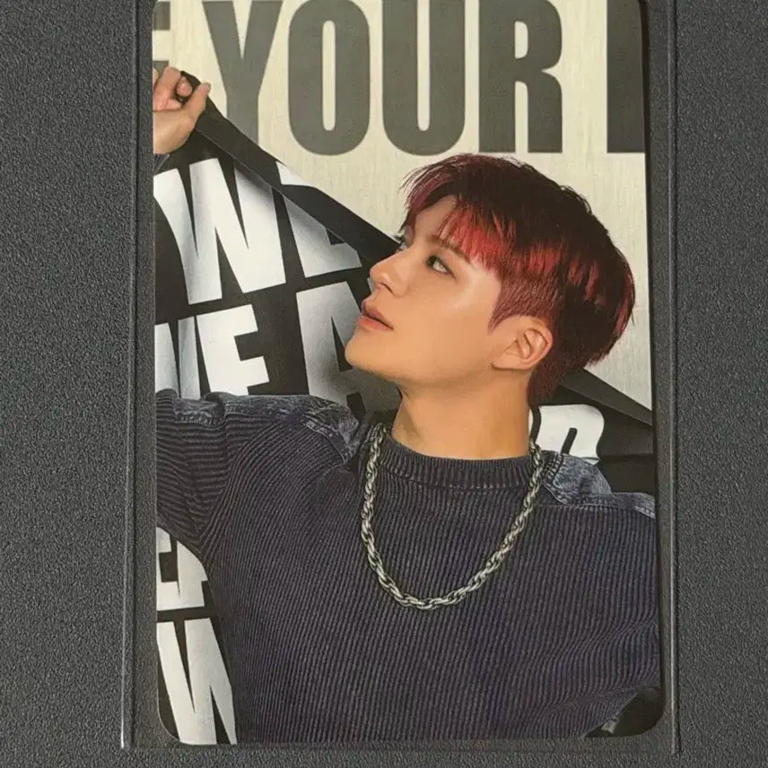 엔시티 드림 팝업 포카 제노