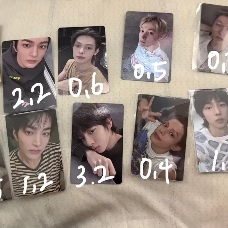 코르티스 포카 양도