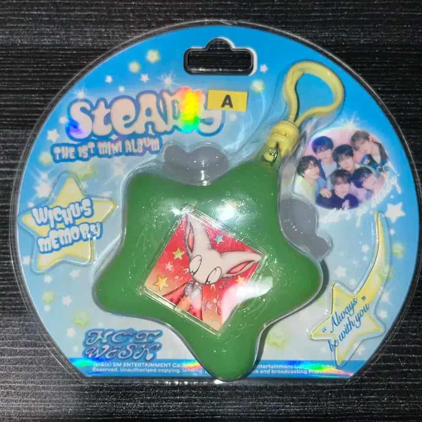 엔시티 위시 위츄 메모리 키링