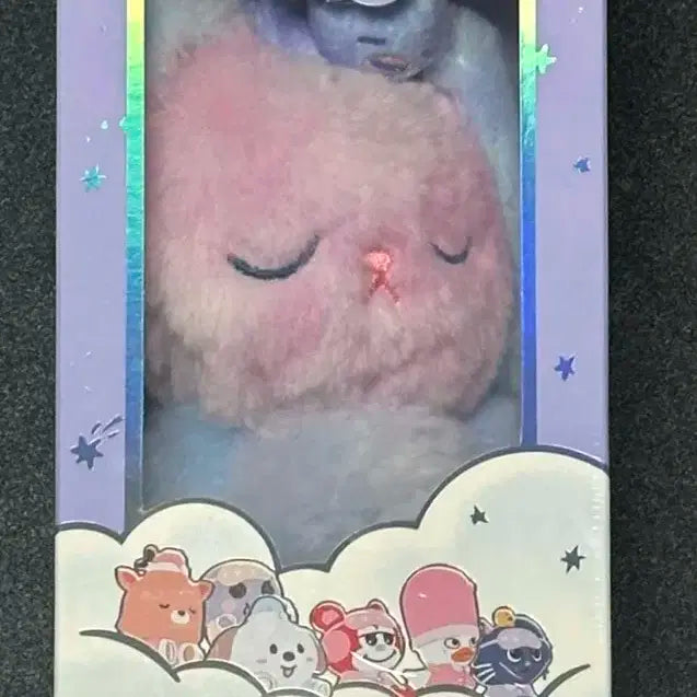 라이즈 보이스키링 B버전 토냥덕 미개봉