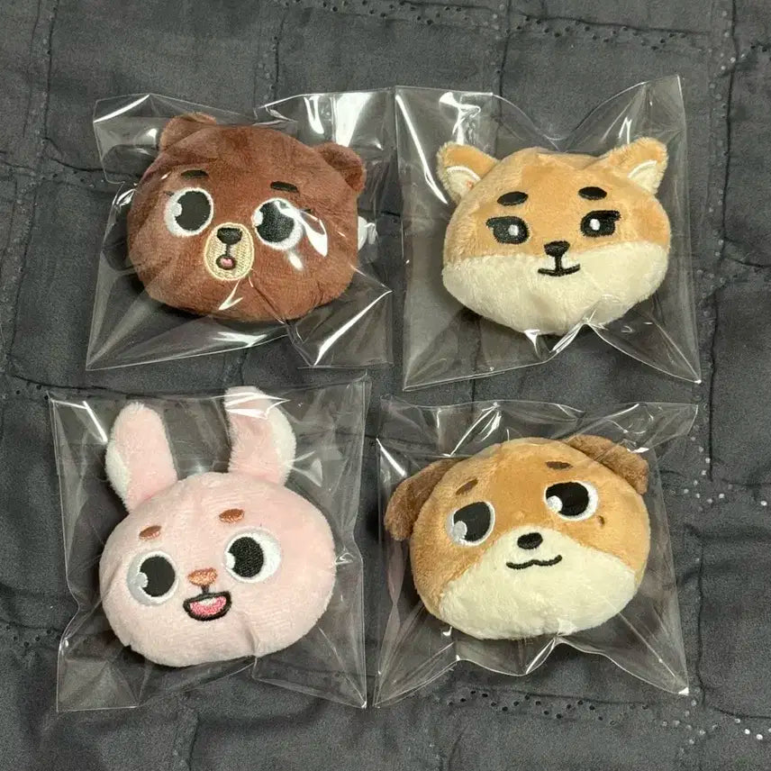 데이식스 포에버영 일본 방케필돈 뱃지 원가 이하 일괄 판매