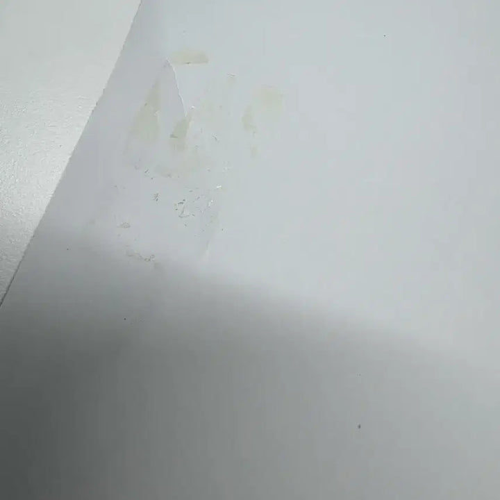 보넥도 why 앨범