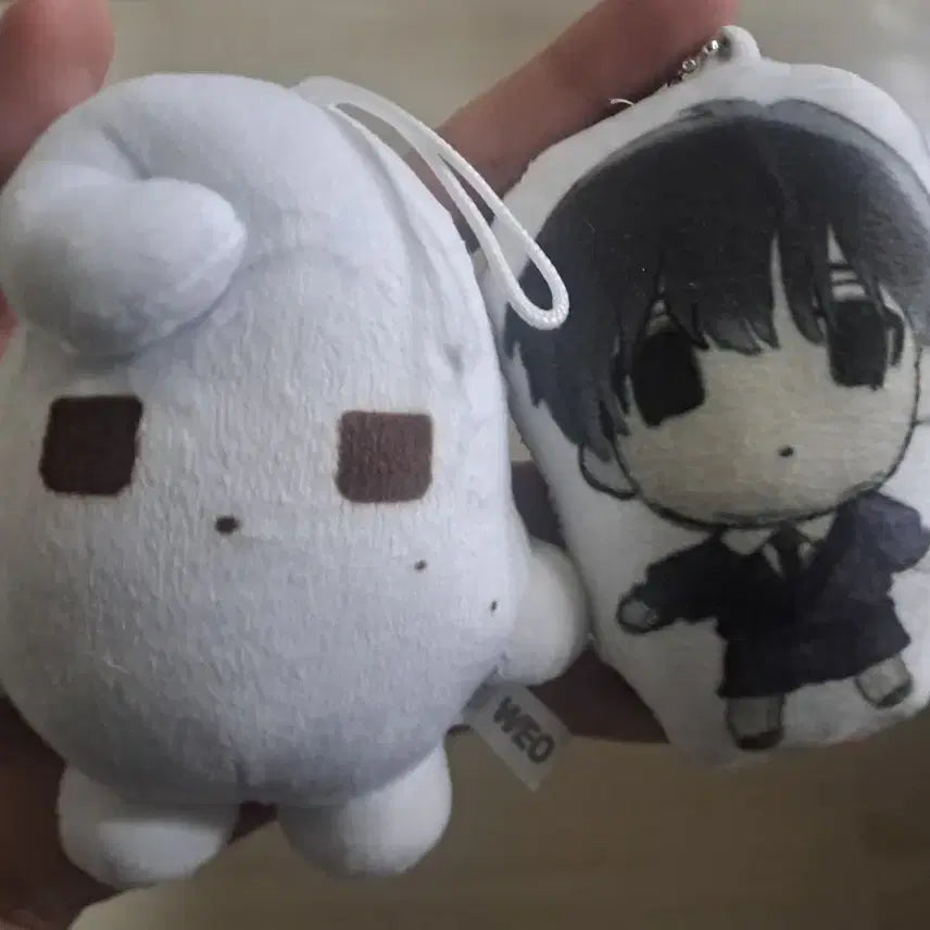 엔시티 위시 유우시 인형 일괄 비공굿