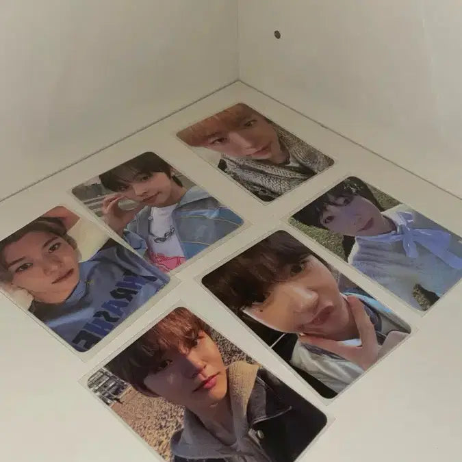 엔시티위시 포카 일괄