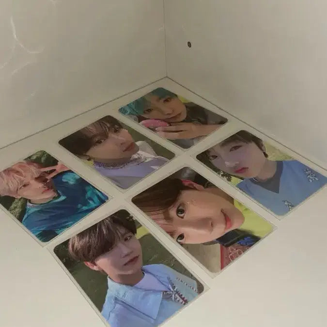 엔시티위시 포카 일괄