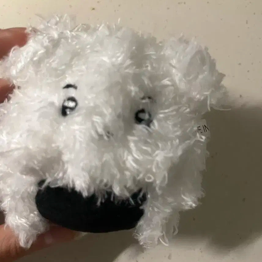 앤팀 조 10cm인형 죠멍밥 양도