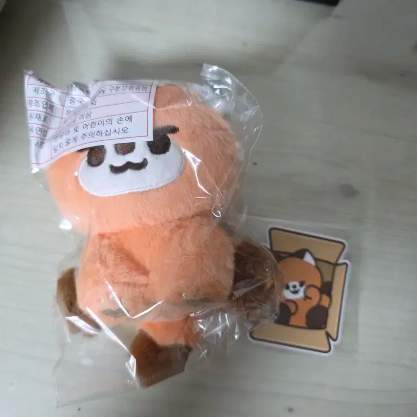 데이식스 비공굿 영케이 인형 케롱이