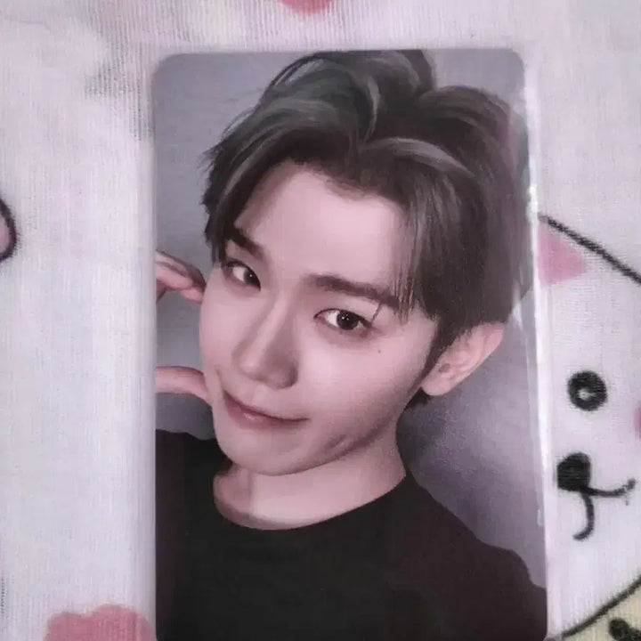 제로베이스원 말레이시아 콘서트 포카