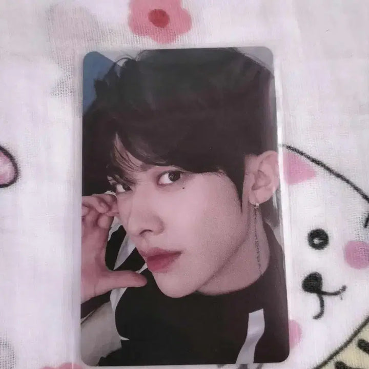 제로베이스원 말레이시아 콘서트 포카