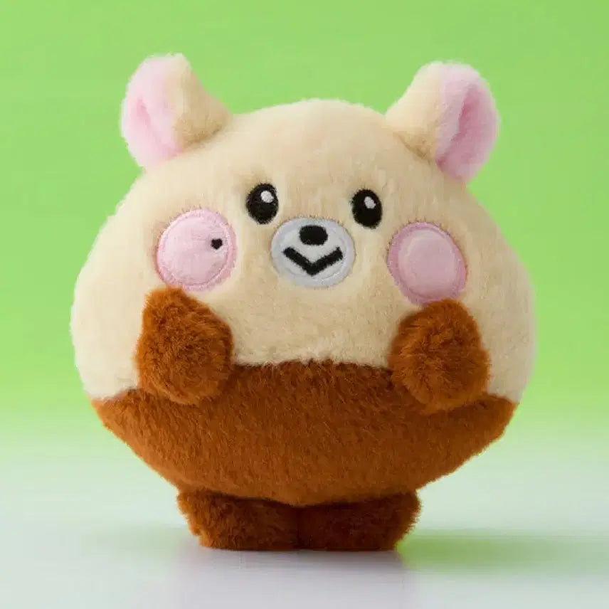 [엔시티드림] 지성 밤찌 포카 포함