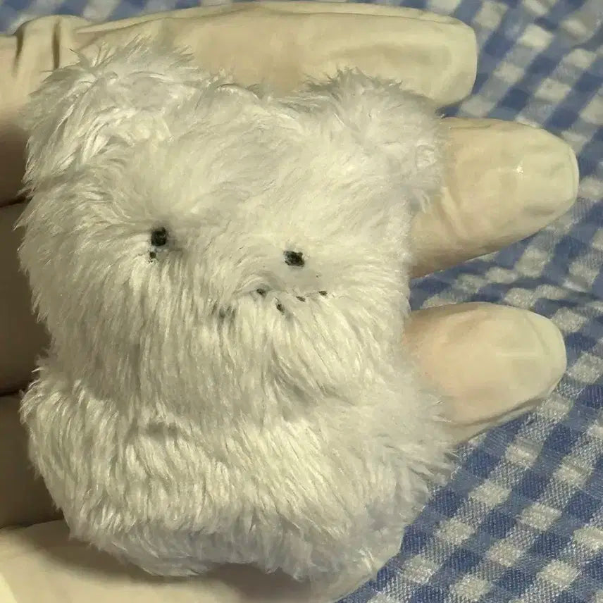 라이즈 소희 핸드메이드 일코인형