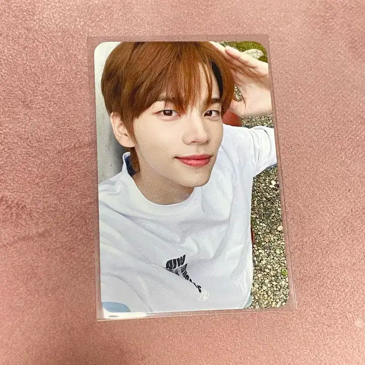 투어스 신유 7만원 결제 팝업 랜덤 미공포 포카 양도