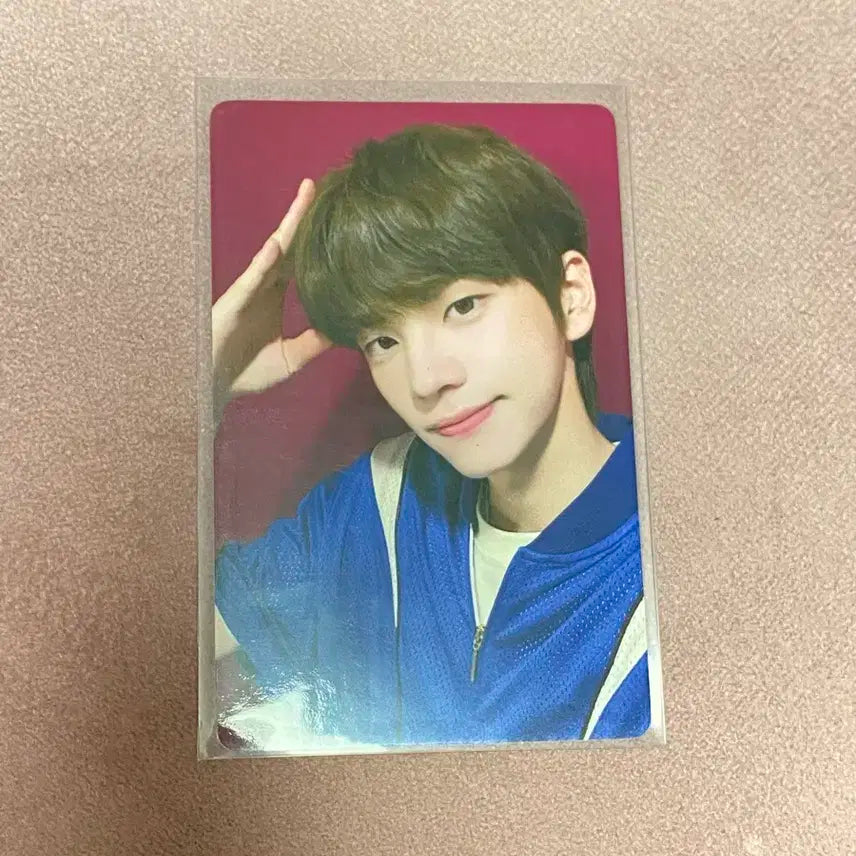 투어스 신유 이즈위 러브레터 포카 양도