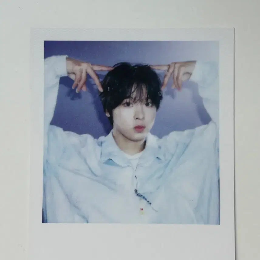 리쿠 시그 폴라로이드