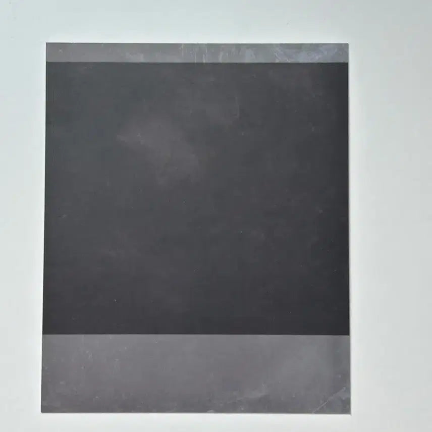 리쿠 시그 폴라로이드