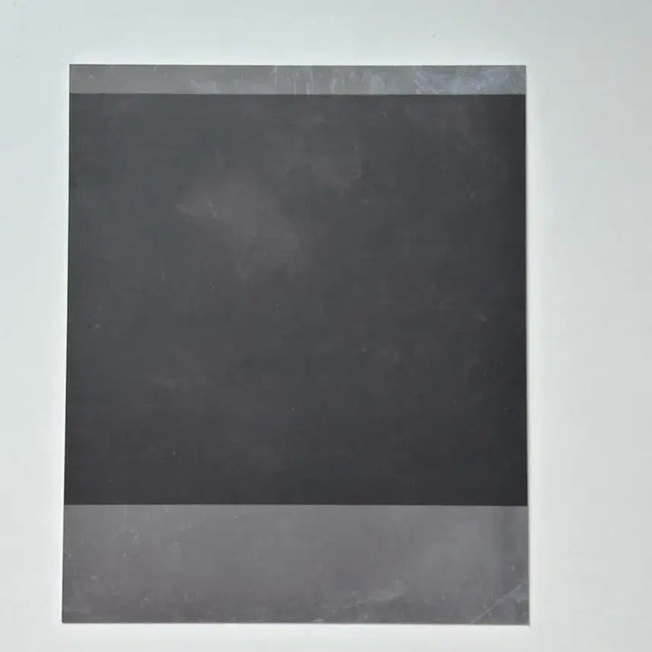 리쿠 시그 폴라로이드