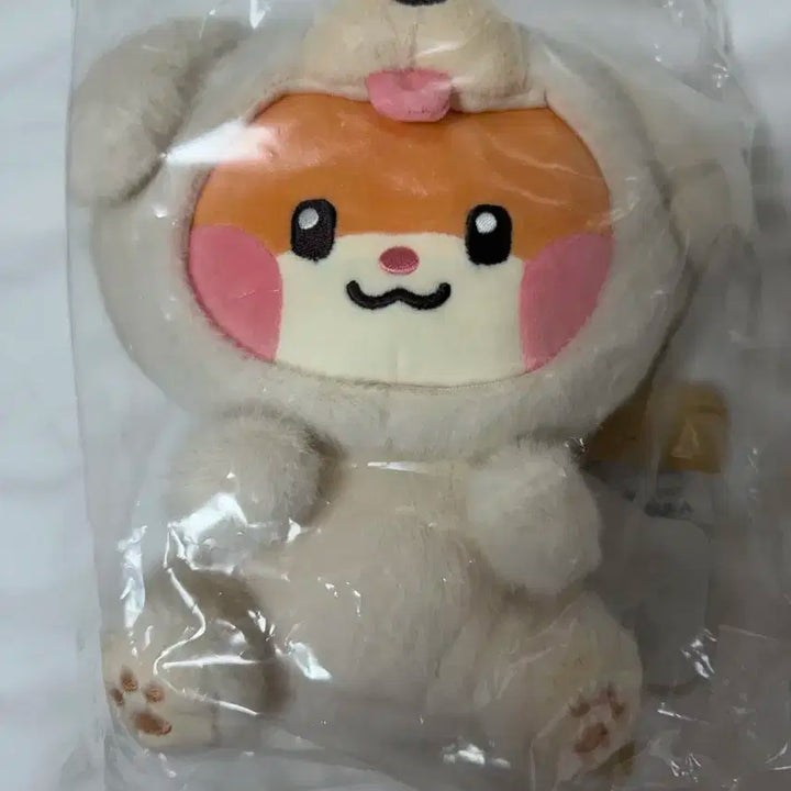 제로니 비니니 인형 제로베이스원 성한빈