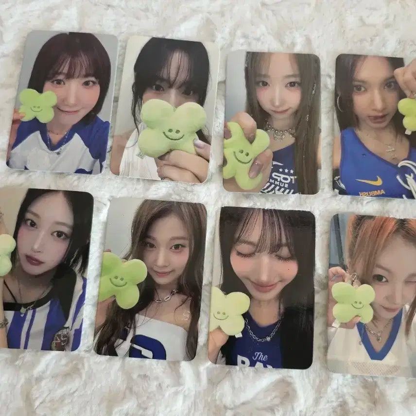 세이마이네임 일리 어레이즈 미공포 세트 판매합니다.