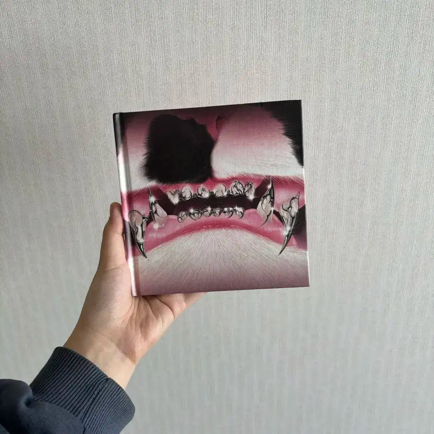 미야오 meovv 앨범