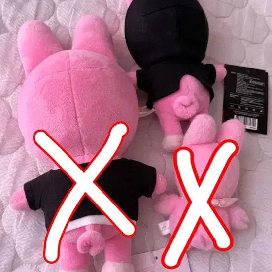 급전)스키주 미니돼끼 판매