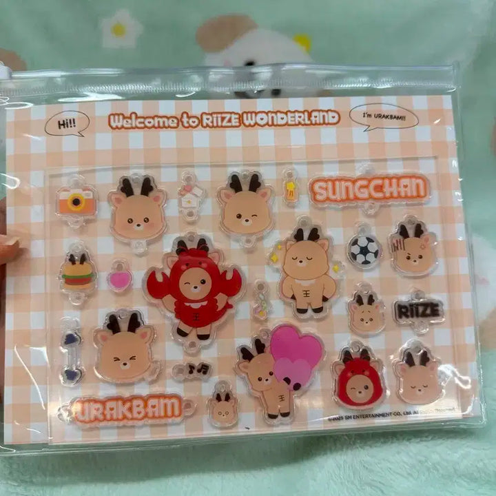 (미개봉)라이즈 상하이 팝업 DIY 키링 참 세트 양도 우락밤