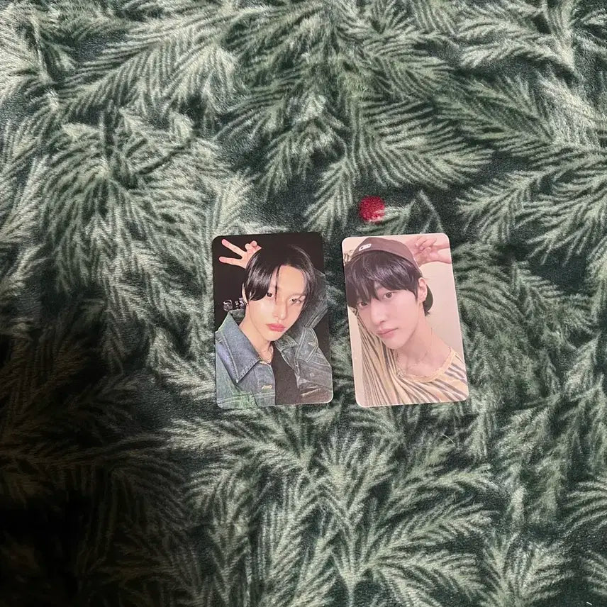 라이즈 원빈 포카 일괄