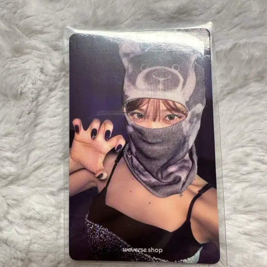 김채원 바라클라바 위버스샵 특전