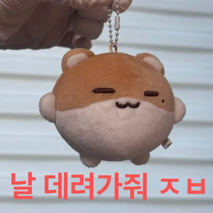 보넥도 리우 인형 링햄 양도 | 보이넥스트도어 명재현 태산 이한 운학