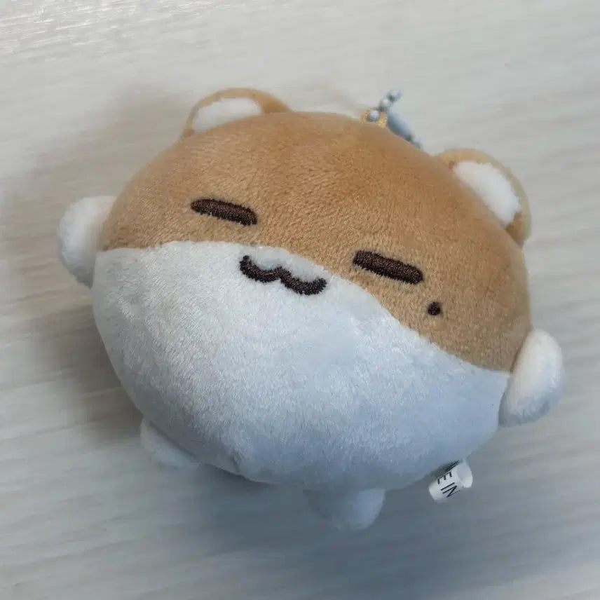 보넥도 리우 인형 링햄 양도 | 보이넥스트도어 명재현 태산 이한 운학