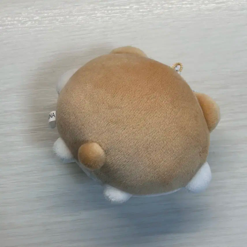 보넥도 리우 인형 링햄 양도 | 보이넥스트도어 명재현 태산 이한 운학