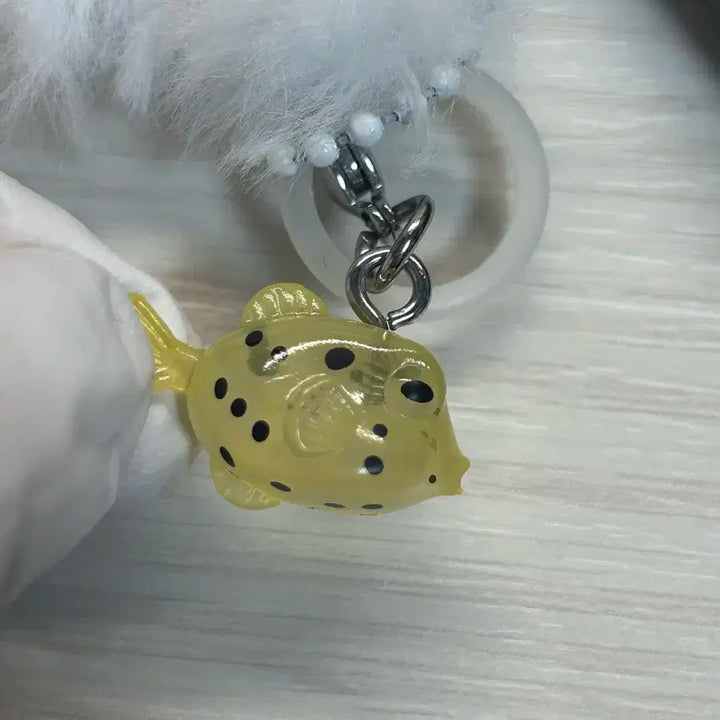 보넥도 리우 포카 바인더 양도 | 보이넥스트도어 명재현 태산 이한 운학