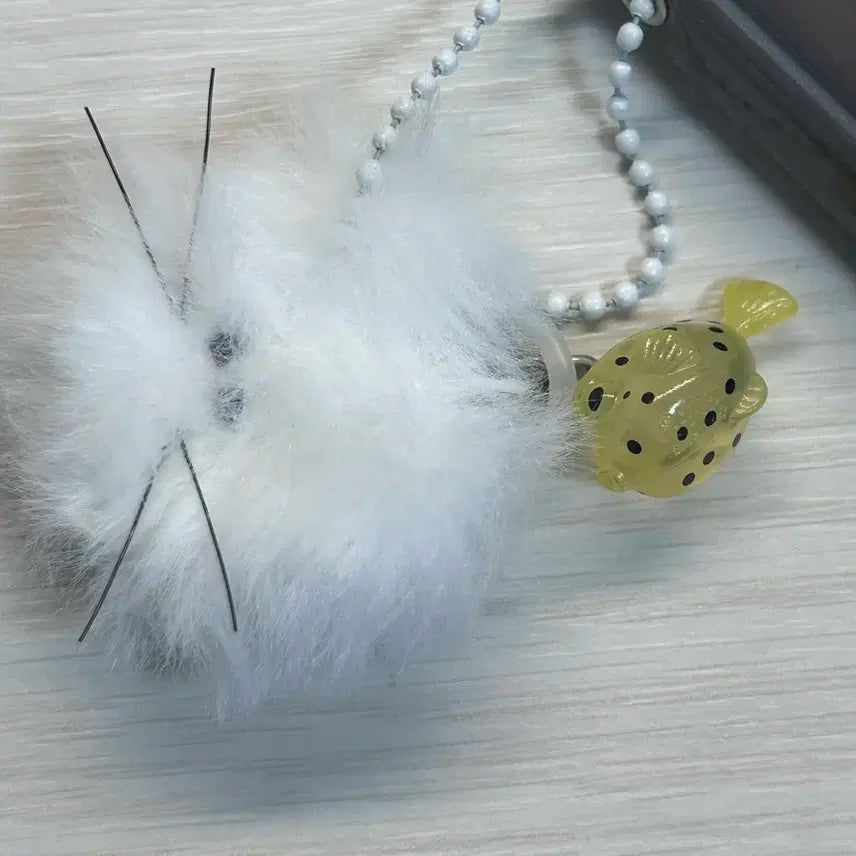 [리우 세트] 보넥도 리우 바인더 포카 일괄 판매 | 원도어키트