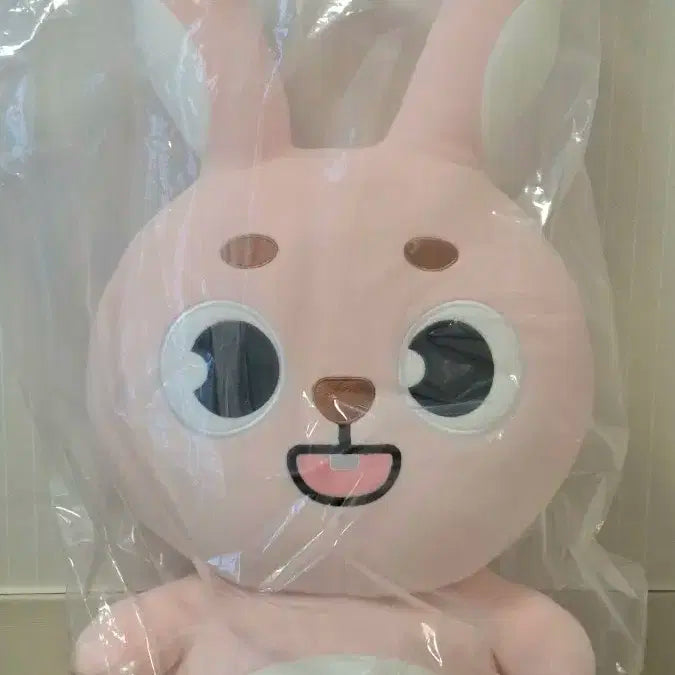 데이식스 자이언트 데니멀즈 필 자멀 필끼 폴라 포함