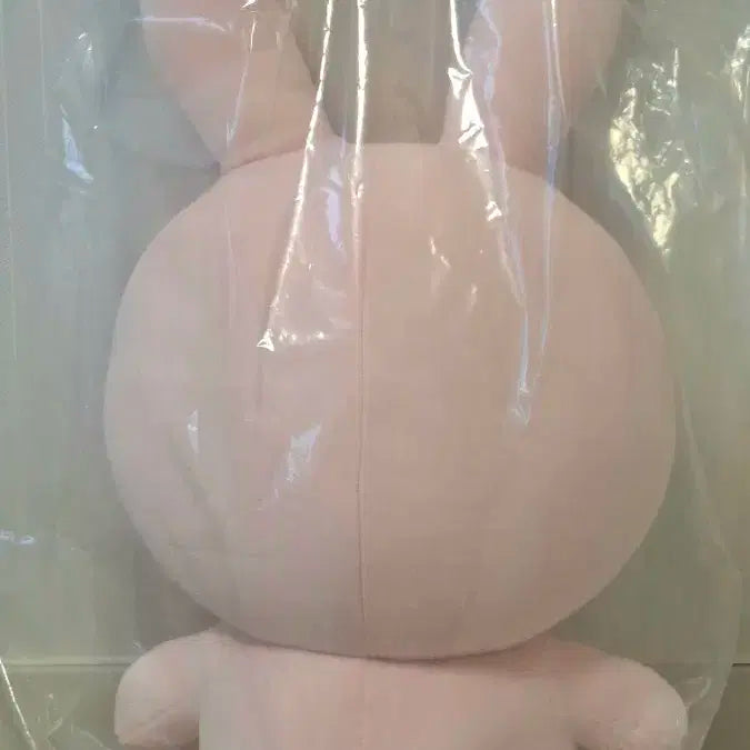 데이식스 자이언트 데니멀즈 필 자멀 필끼 폴라 포함