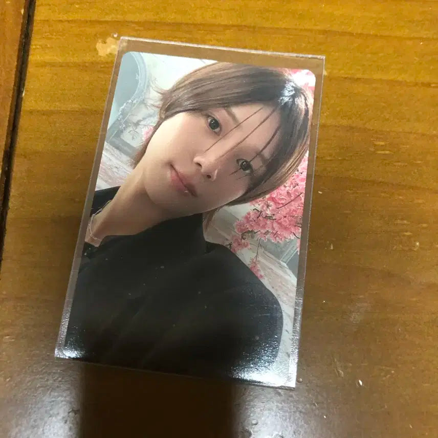 앤팀 케이 유키아카리 앨포 양도 처분