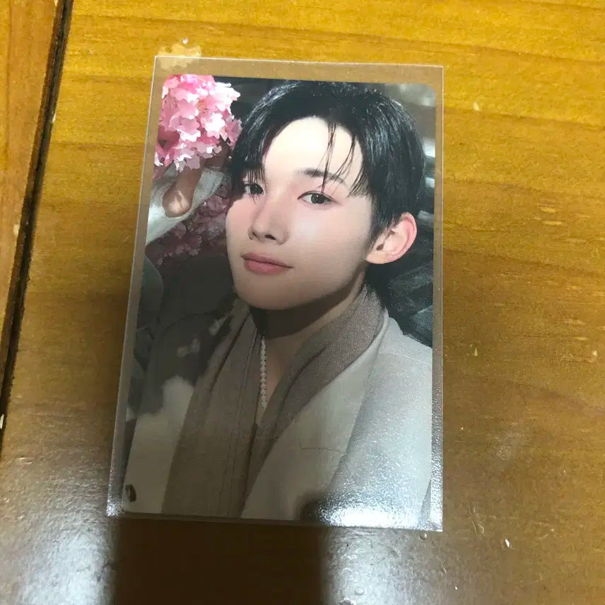 앤팀 죠 유키아카리 앨포 양도 처분