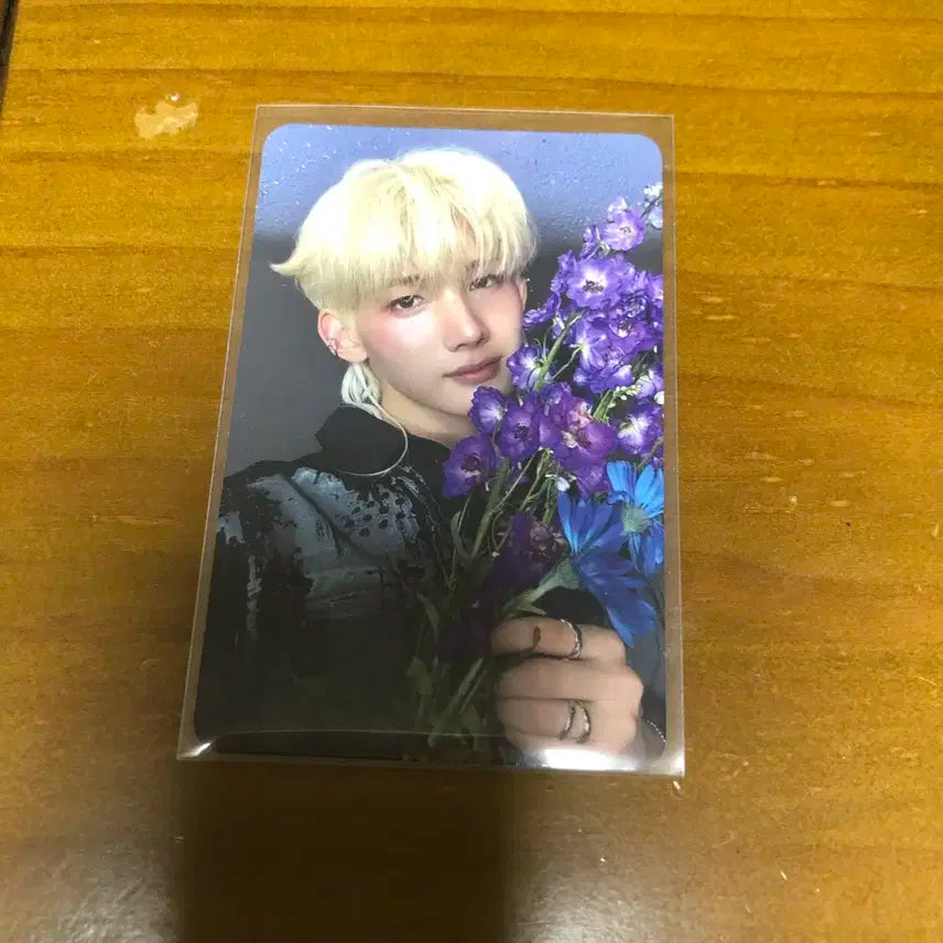 앤팀 백투라이프 BTL 죠 앨범 포카 양도 판매 처분