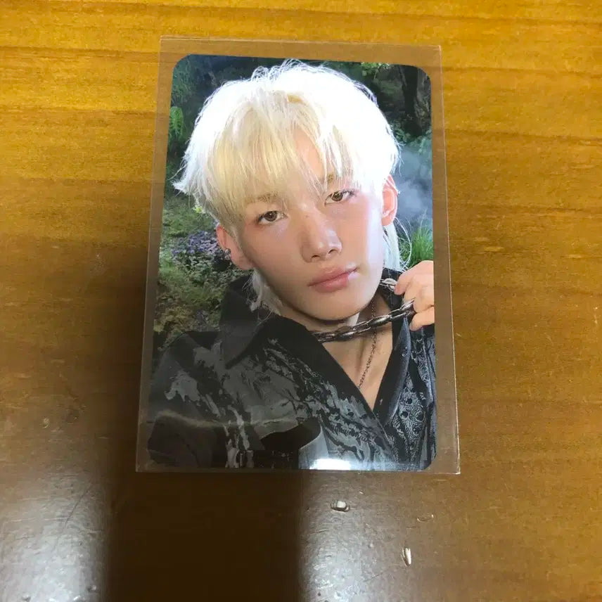 앤팀 백투라이프 BTL 죠 올리브영 포카 양도 판매 처분