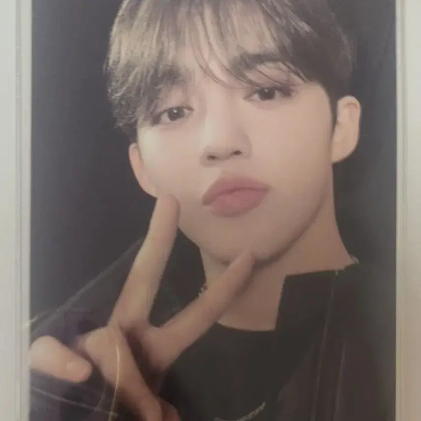 세븐틴 에스쿱스 팔로우 어게인 follow again 트레카 포카 양도