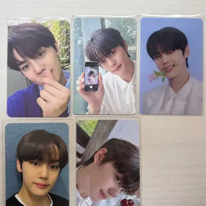 제베원 김규빈 포카 일괄