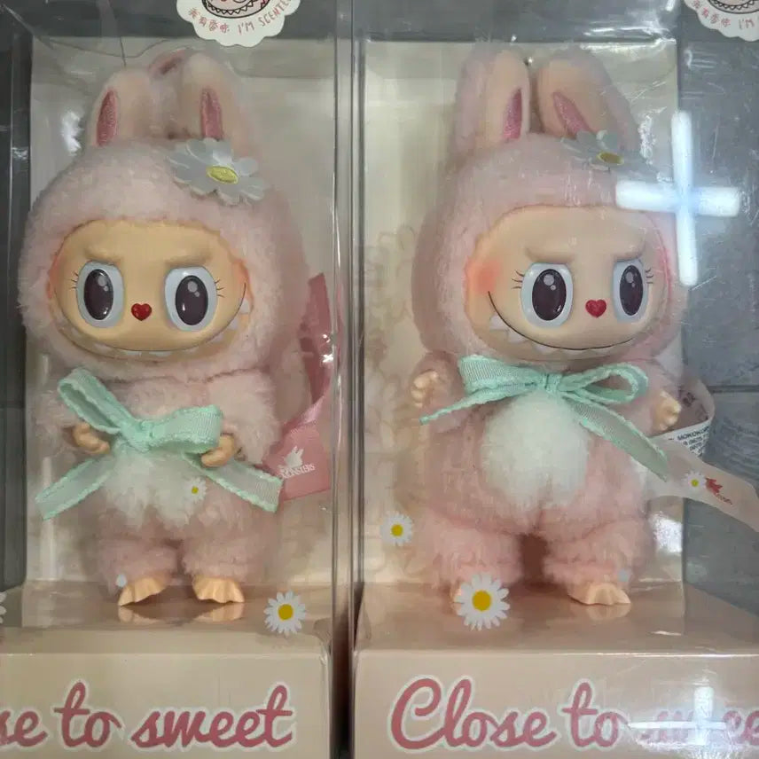 라부부 모코코 정품 새상품 박스 파손