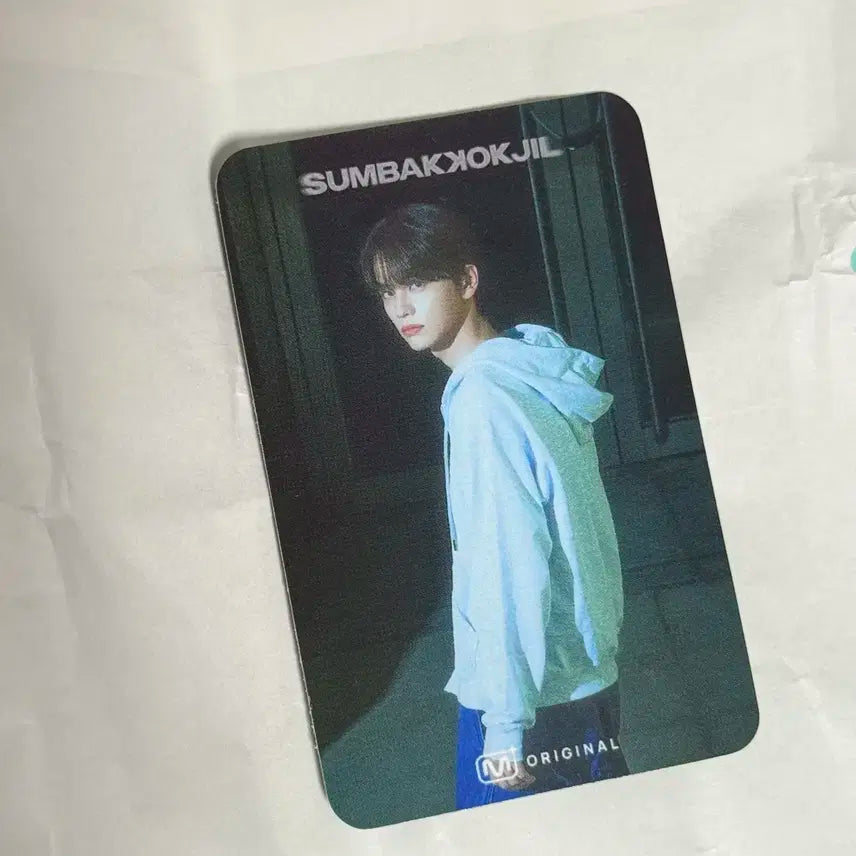 투어스 숨바꼭질 포카 신유