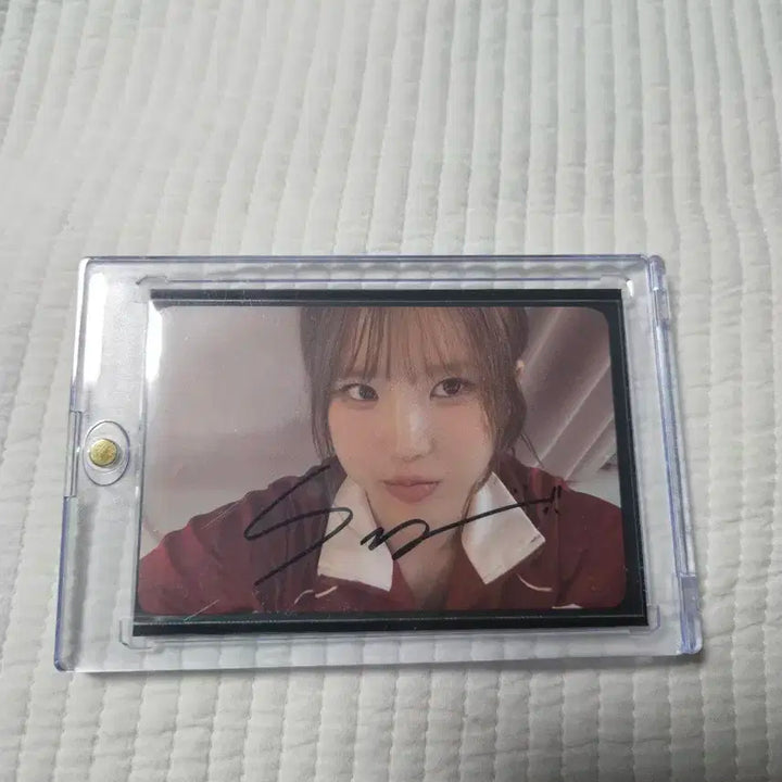 프로미스나인 송하영 싸인 포토카드