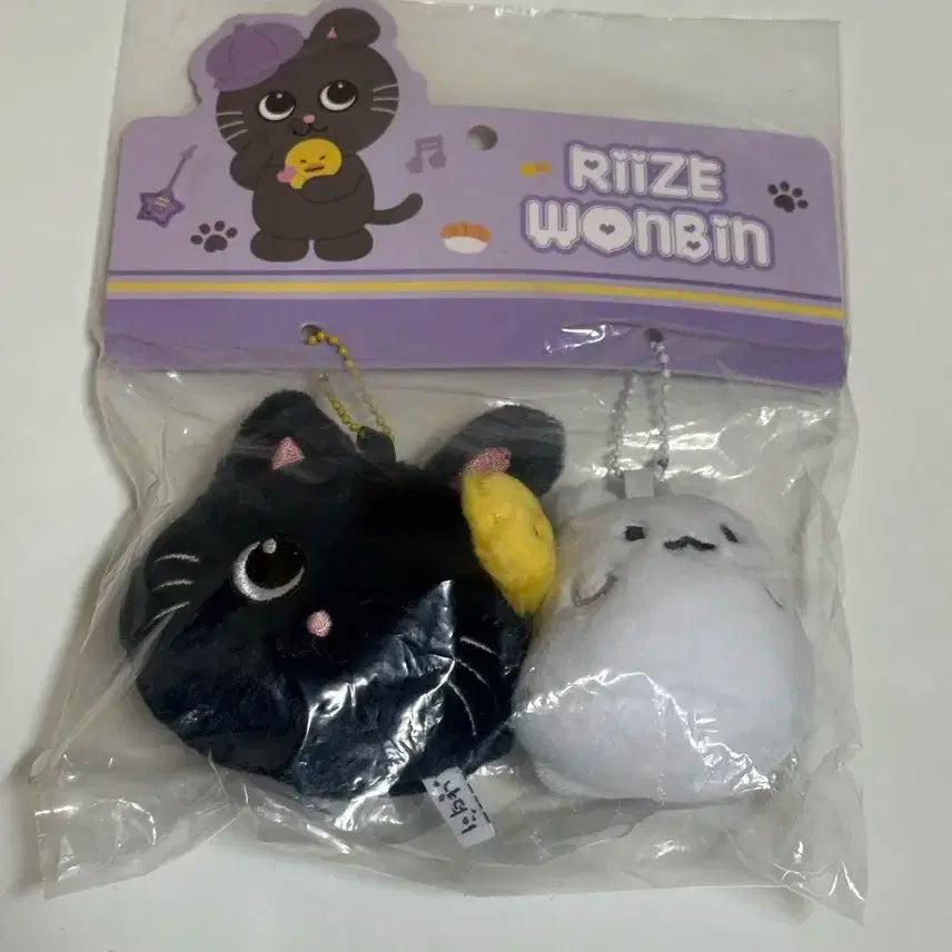 라이즈 중국 상하이 원더랜드 리라즈 팝업 원빈 토냥덕 플래시 키링