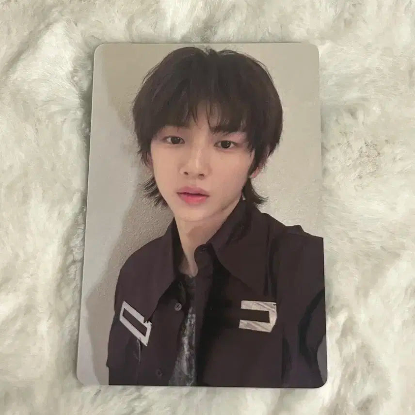 코르티스 주훈 이즈위 3차 포카 럭드 미공포 양도