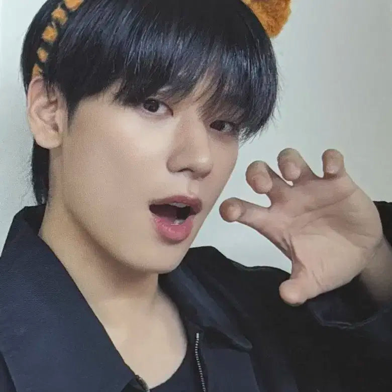 더보이즈 타이거 공방포카 양도