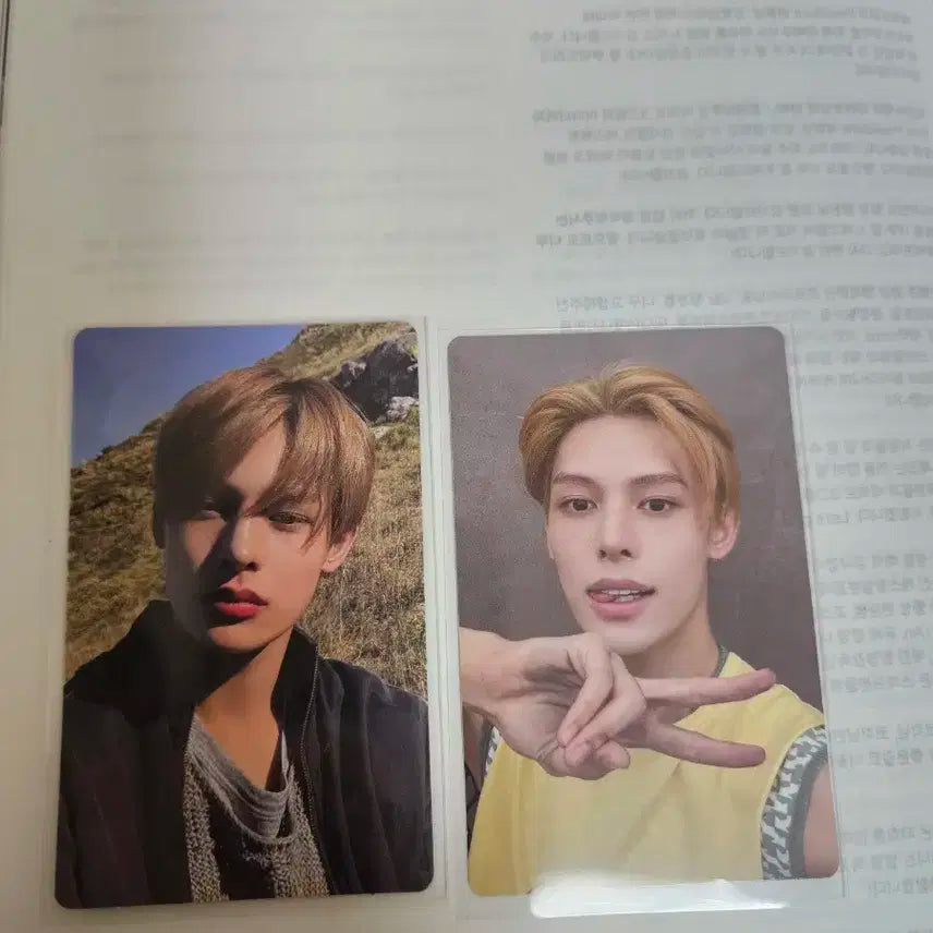 코르티스 제임스 포카 양도