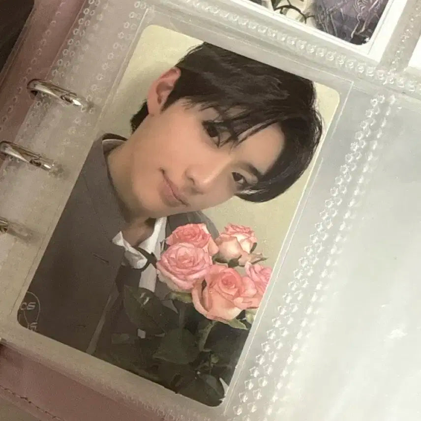 정상현 포토카드 양도 꽃 전시회 보이즈플래닛 보플 알디원 알파드라이브원